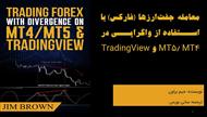 معامله جفت ارزها با استفاده از واگرایی در متاتریدر و تریدینگ ویو